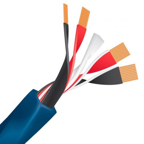 Акустический кабель Wire World Oasis 10 Biwire Speaker Cable 2.5m Pair (BAN-BAN)