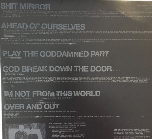 Виниловая пластинка Nine Inch Nails, Bad Witch