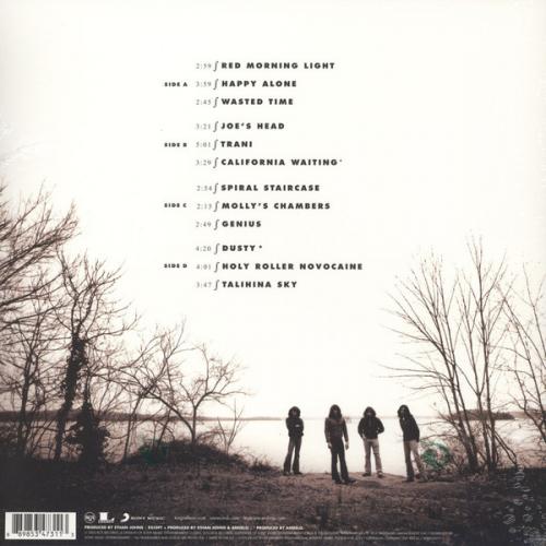 Виниловая пластинка Kings of Leon YOUTH AND YOUNG MANHOOD