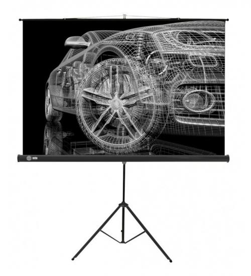 Экран Cactus Triscreen CS-PST-124x221