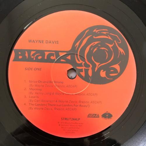 Виниловая пластинка Wayne Davis - Wayne Davis (Black Vinyl LP)