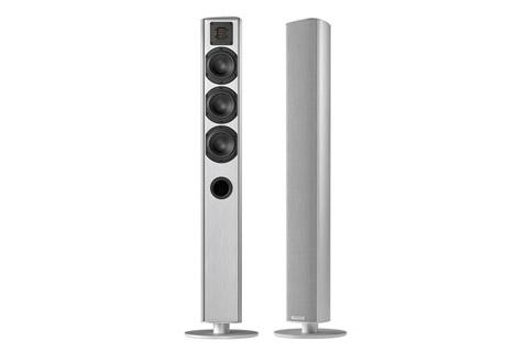 Напольная акустика Piega Ace 50 silver aluminum