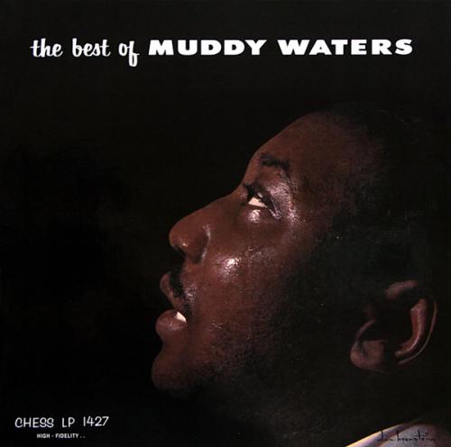 Виниловая пластинка Muddy Waters - The Best Of (Analogue, Acoustic Sounds) (Black Vinyl LP)