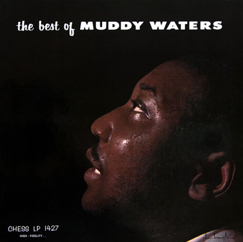 Виниловая пластинка Muddy Waters - The Best Of (Analogue, Acoustic Sounds) (Black Vinyl LP)