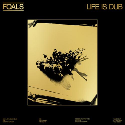 Виниловая пластинка Foals - Life Is Dub (coloured) (Сoloured Vinyl LP)