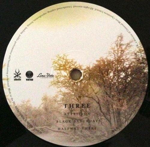 Виниловая пластинка Soundgarden, King Animal