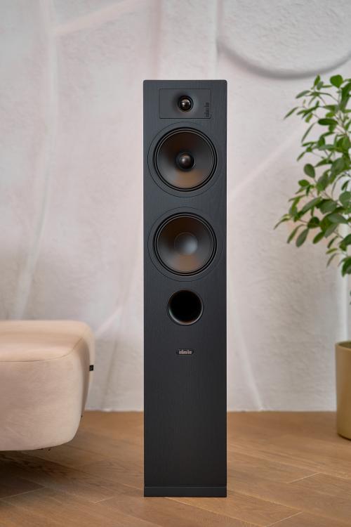 Напольная акустическая система Indiana Line Tesi 5 Black