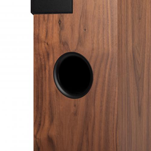 Напольная акустика Davis Acoustics THE STAGE Walnut