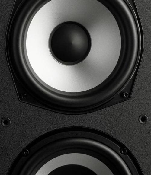 Напольная акустика Polk Audio Monitor XT60 black