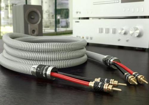 Акустический кабель Ricable Invictus Speaker Reference MKII 2 x 4 m (RS4)