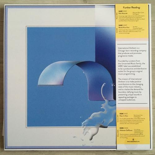 Виниловая пластинка Carlos Nino; Atwood-Ferguson, Miguel - Chicago Waves (Black Vinyl LP)