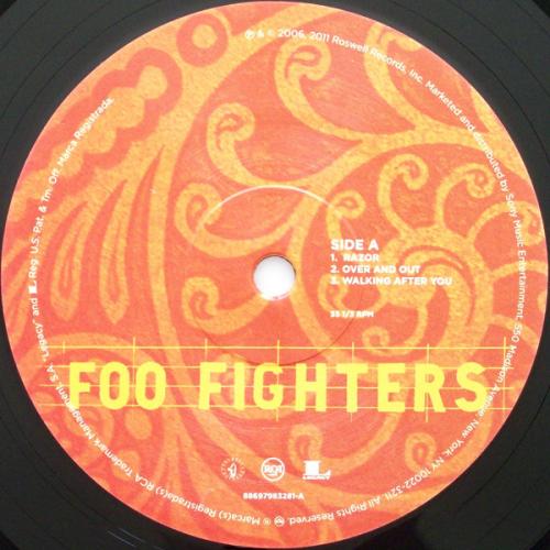 Виниловая пластинка Foo Fighters SKIN AND BONES (180 Gram)