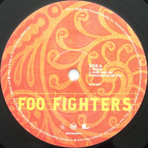 Виниловая пластинка Foo Fighters SKIN AND BONES (180 Gram)
