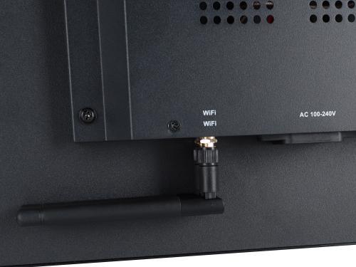 Профессиональный дисплей Lumien LP4370SDRU