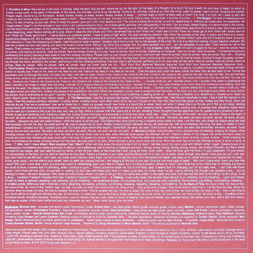 Виниловая пластинка Swans - The Beggar (Black Vinyl 2LP)