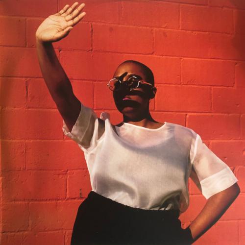 Виниловая пластинка Cecile McLorin Salvant - Window (Black Vinyl 2LP)