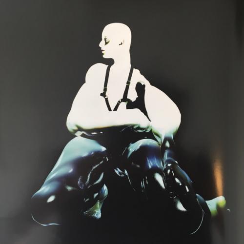 Виниловая пластинка Arca - Xen (Black Vinyl LP)
