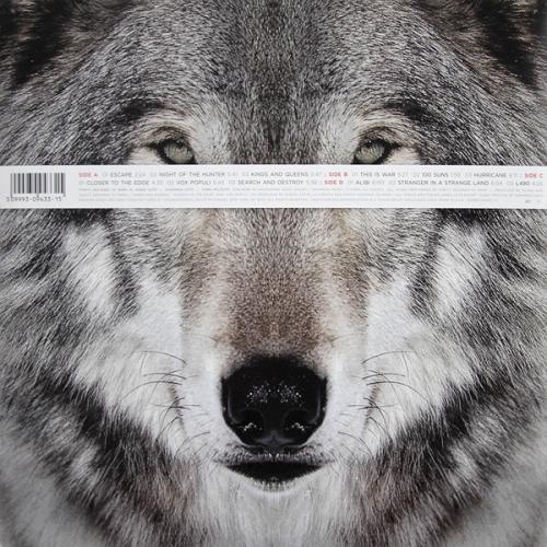 Виниловая пластинка 30 Seconds To Mars, This Is War