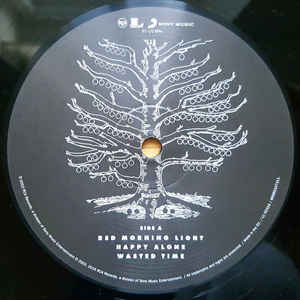 Виниловая пластинка Kings of Leon YOUTH AND YOUNG MANHOOD