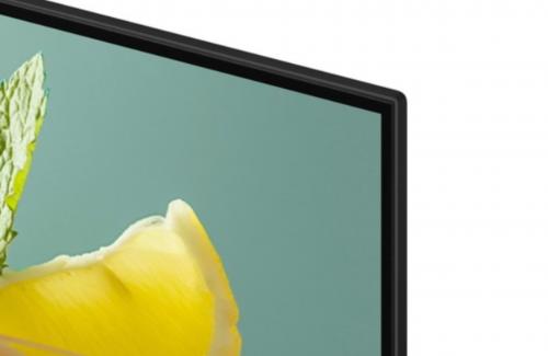 Коммерческий телевизор Samsung BE55FX-H