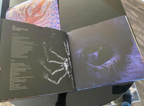 Виниловая пластинка Tool - Fear Inoculum (Limited Deluxe Edition 180 Gram Black Vinyl 5LP)