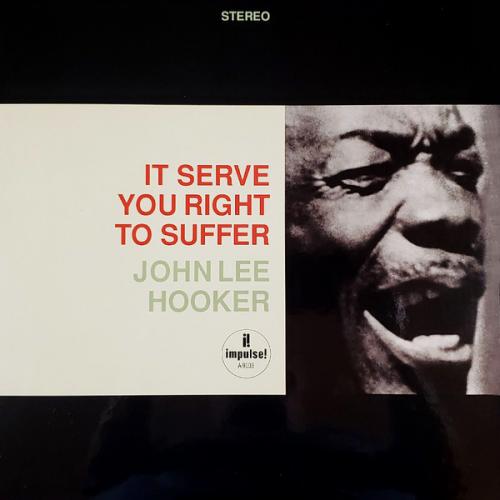 Виниловая пластинка John Lee  Hooker - It Serve You Right To Suffer (Analogue) (Black Vinyl 2LP)