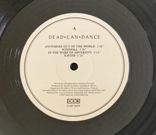 Виниловая пластинка Dead Can Dance — WITHIN THE REALM OF A DYING SUN (LP)