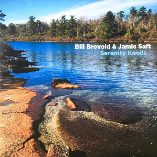 Виниловая пластинка Bill Brovold, Saft, Jamie - Serenity Knolls (Black Vinyl LP)