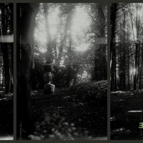 Виниловая пластинка Eyolf Dale - The Wayfarers (Coloured Vinyl LP)