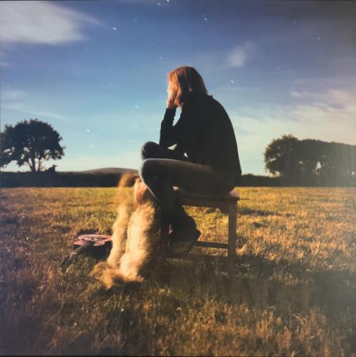 Виниловая пластинка Beth Gibbons - Lives Outgrown - deluxe (Limited Deluxe Black Vinyl LP, Gatefold, Bonus Art Print)