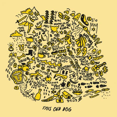Виниловая пластинка Mac DeMarco - This Old Dog (Black Vinyl LP)