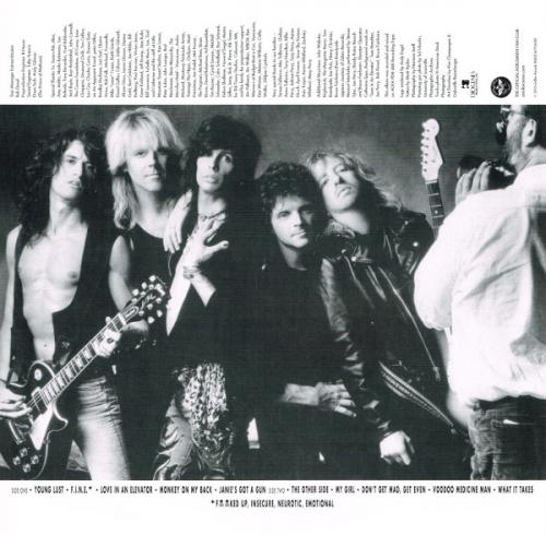 Виниловая пластинка Aerosmith, Pump (180g)