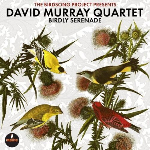 Виниловая пластинка David Murray - Birdly Serenade (Black Vinyl LP)