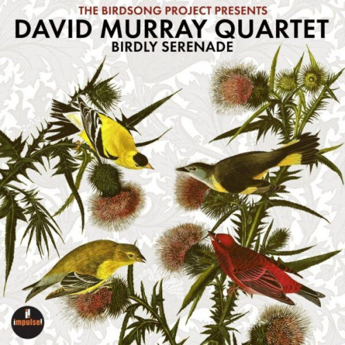 Виниловая пластинка David Murray - Birdly Serenade (Black Vinyl LP)