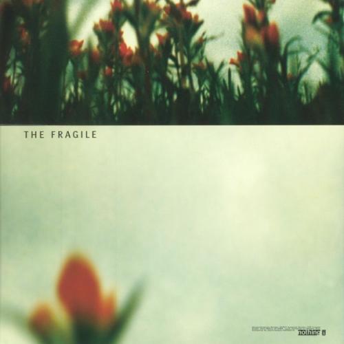 Виниловая пластинка Nine Inch Nails - The Fragile (Black Vinyl 3LP)