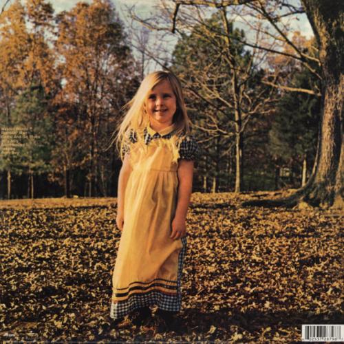 Виниловая пластинка The Allman Brothers Band  - Brothers And Sisters (Reissue, Black Vinyl LP)