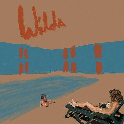 Виниловая пластинка Andy Shauf - Wilds (coloured) (Сoloured Vinyl LP)
