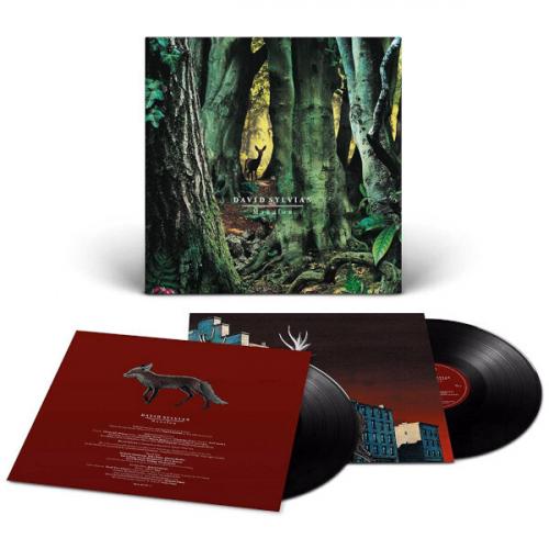 Виниловая пластинка David Sylvian - Manafon (Black Vinyl 2LP)