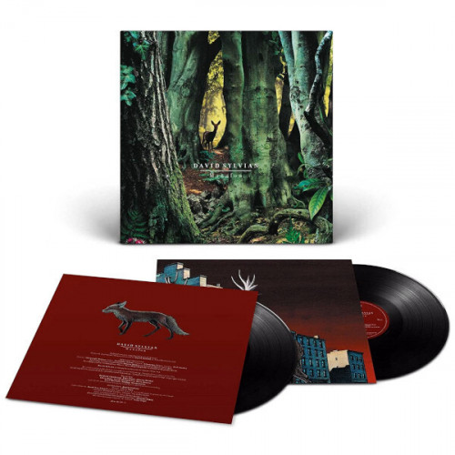 Виниловая пластинка David Sylvian - Manafon (Black Vinyl 2LP)