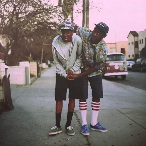 Виниловая пластинка Tyler, The Creator - Goblin (Black Vinyl 2LP)