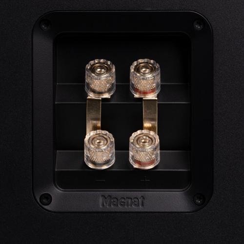 Напольная акустика Magnat Signature 809 Black