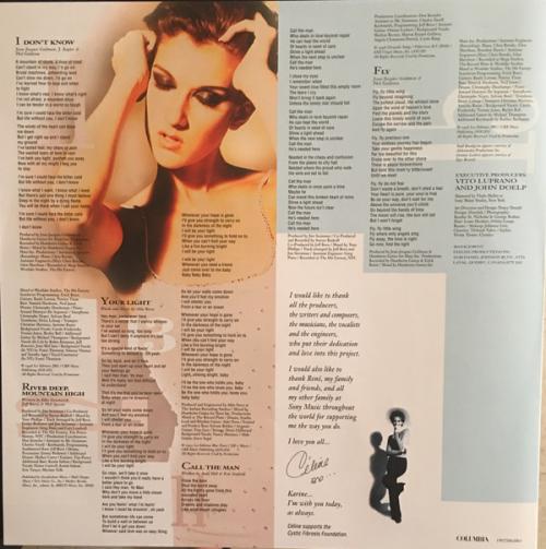 Виниловая пластинка Sony Celine Dion Falling Into You (Black Vinyl)