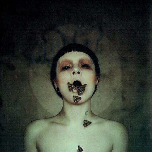 Виниловая пластинка Soen - The Undiscovered Lotus (Black Vinyl LP)