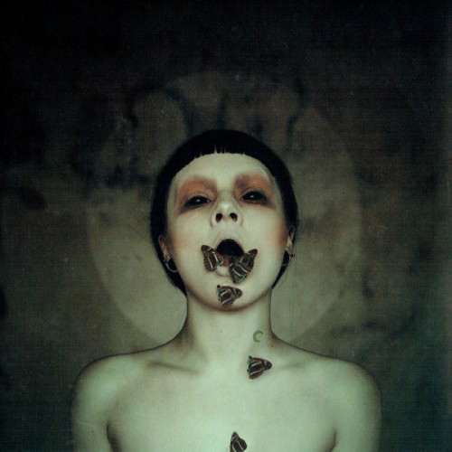 Виниловая пластинка Soen - The Undiscovered Lotus (Black Vinyl LP)