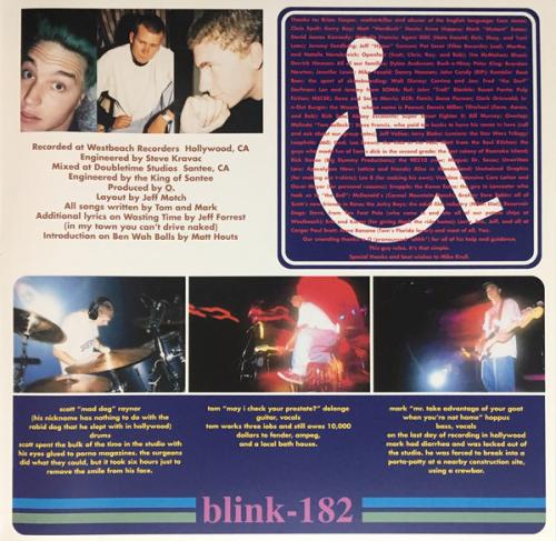 Виниловая пластинка Blink-182, Cheshire Cat