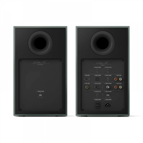 Полочная акустика KEF Coda W Moss Green