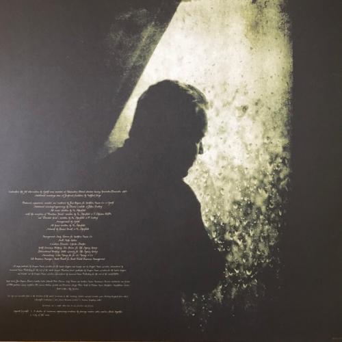 Виниловая пластинка Opeth - Watershed (Black Vinyl 2LP)
