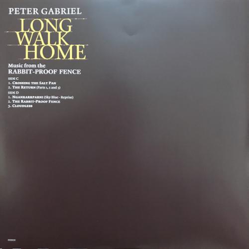 Виниловая пластинка Gabriel, Peter, Long Walk Home (45rpm)