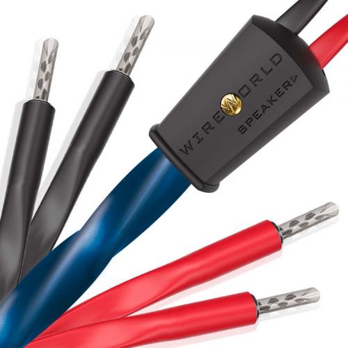 Акустический кабель Wire World Oasis 10 Biwire Speaker Cable 3.0m Pair (BAN-BAN)
