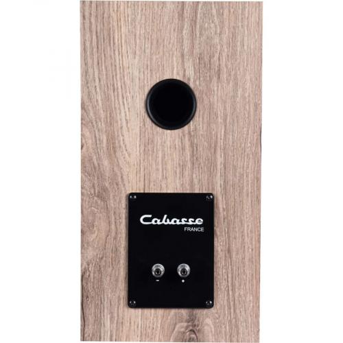Полочная акустика Cabasse Minorca MC40 Bleached Oak